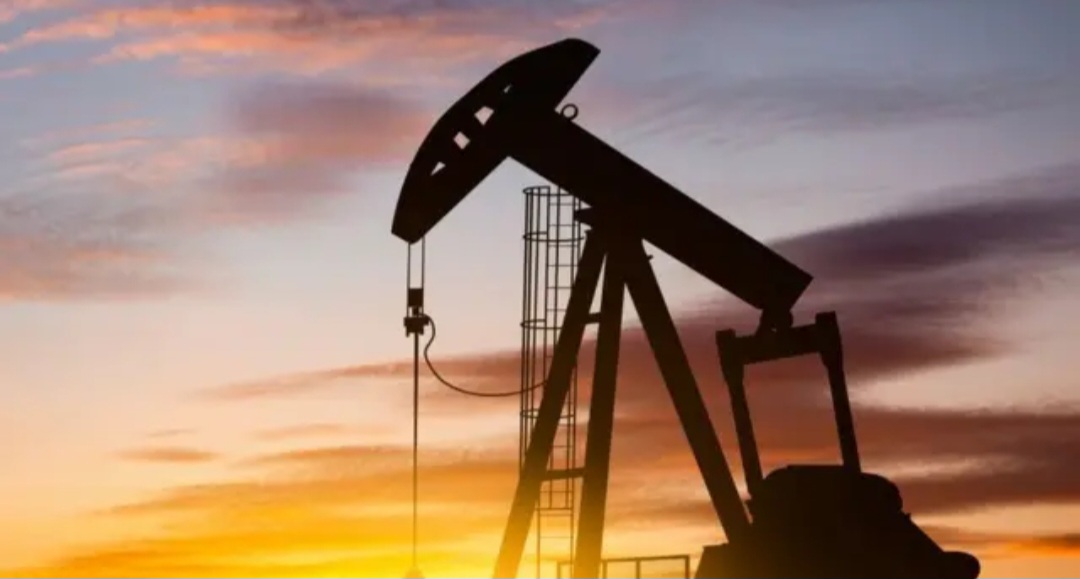 Screenshot_20250301_194534_Gallery