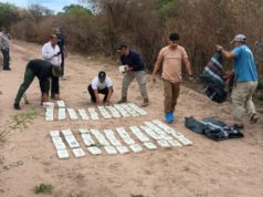 Incautaron 364 kilos de cocaína tras la caída de una avioneta en Rosario de la Frontera