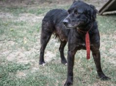 Después de cinco años de espera, Obama encontró su familia