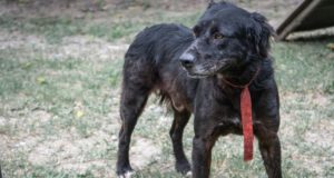 Después de cinco años de espera, Obama encontró su familia