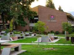 Desmienten una fake news que mezcló religión y política en Salta