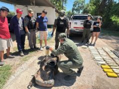 Una familia salteña viajaba en una camioneta rellena con 65 kilos de cocaína