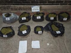 La Policía incautó más de 46 mil dosis de marihuana en Chicoana