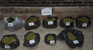 La Policía incautó más de 46 mil dosis de marihuana en Chicoana