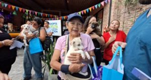 En el Día de los Enamorados fueron adoptados seis cachorros
