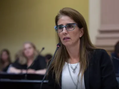 “Orden, modernización y claridad”: el planteo de Socorro Villamayor sobre la reforma electoral