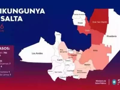 Alerta sanitaria en Salta: los casos de Chikungunya crecieron casi un 45% en una semana