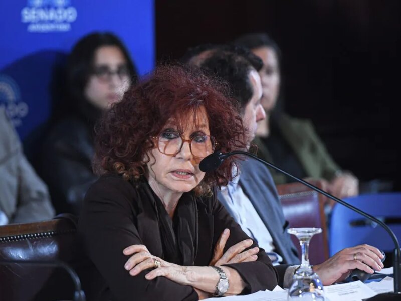 El Gobierno envió al Senado su proyecto de modificación de la Ley de Salud Mental: qué cambiaría