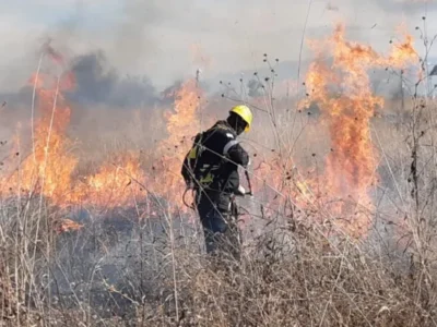 El zonda golpeó fuerte en Salta: incendios, caída de postes y caos en los Valles Calchaquíes