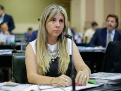 |VIDEO| “Que hagan TikToks en las rutas destruidas”: fuerte cruce de una senadora salteña contra los libertarios