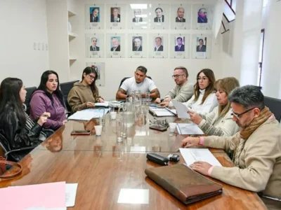 Defensor del Pueblo: el Concejo Deliberante ya analiza los perfiles de los candidatos