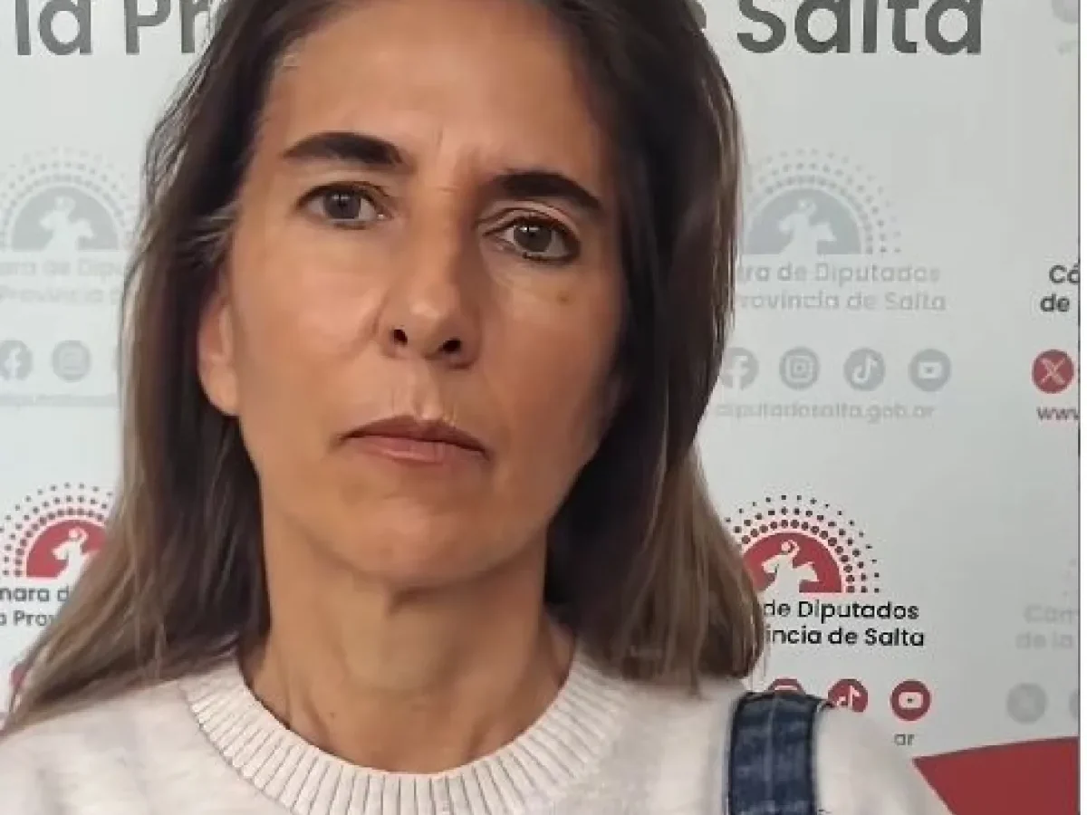|VIDEO| Socorro Villamayor criticó la postura de SAETA por el transporte nocturno: «Las explicaciones resultan insuficientes»