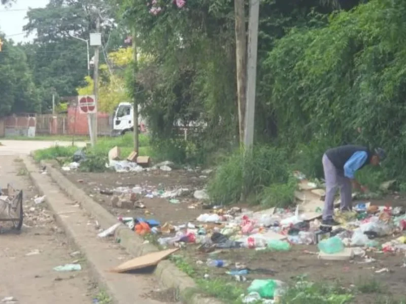 A días de la Serenata, Tartagal está entre la basura y el abandono: crecen las críticas contra Franco Hernández Berni