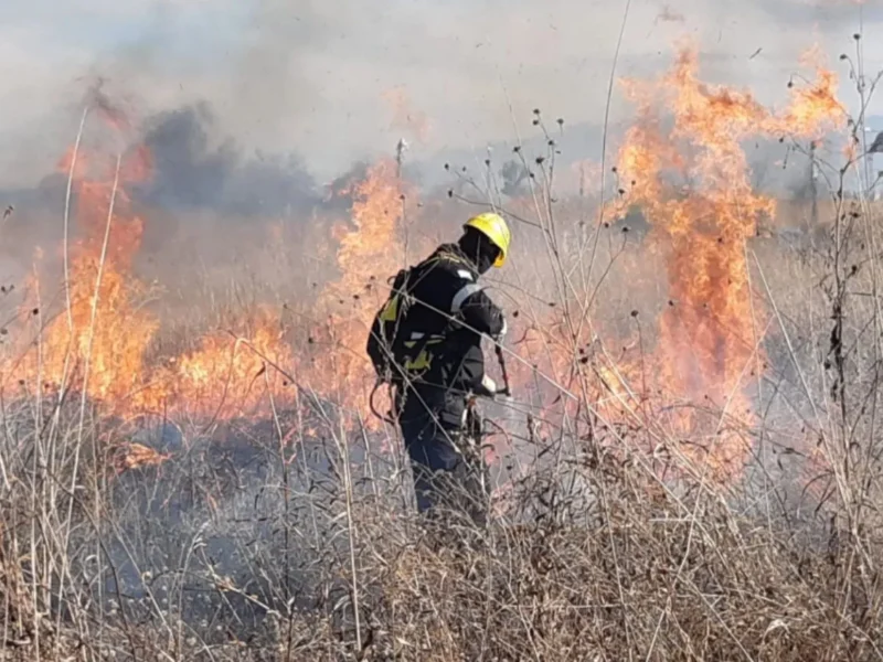 Tensión en Cafayate: un voraz incendio forestal mantiene en vilo a toda la zona