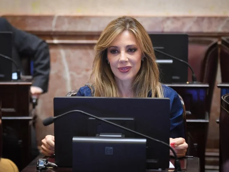 Flavia Royón vinculó la baja del pliego de Micheli con un posible ataque a la libertad de prensa