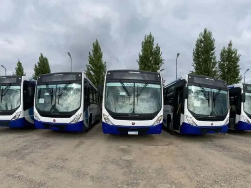 Así funcionarán los colectivos durante los feriados del 15 y 17 de junio