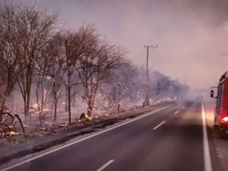 El incendio en Cafayate ya arrasó 200 hectáreas y la Justicia investiga si fue intencional