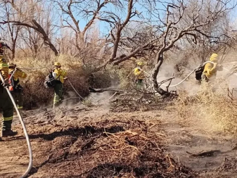 El fuego sigue bajo vigilancia en Cafayate y los equipos redoblan los trabajos