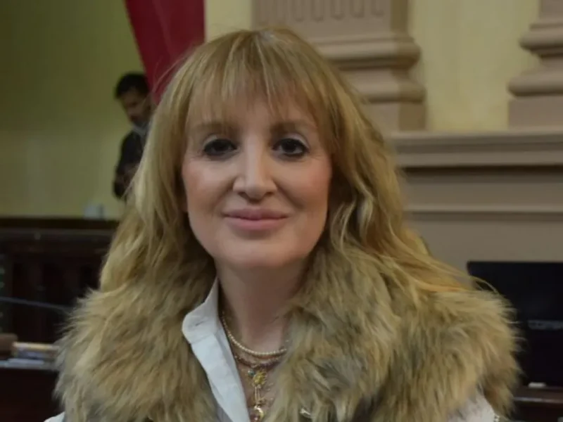 Laura Cartuccia planteó los cinco desafíos que deberá afrontar la próxima conducción del PJ