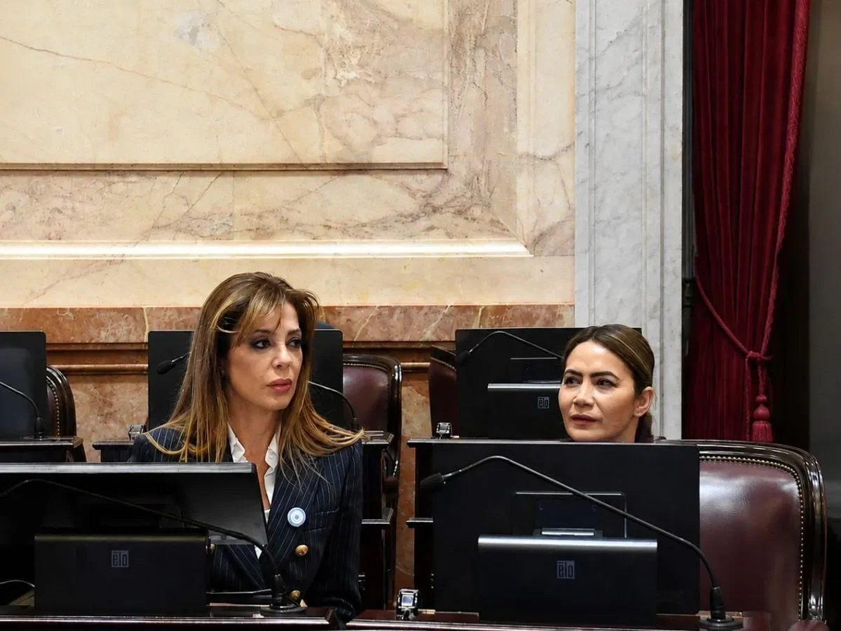 Flavia Royon dio quórum y apuntó contra la parálisis del Senado por internas políticas