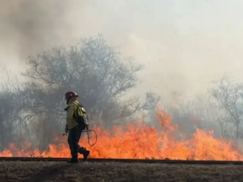 Alerta por viento Zonda: un incendio de gran magnitud encendió las alarmas en la zona sur de Salta