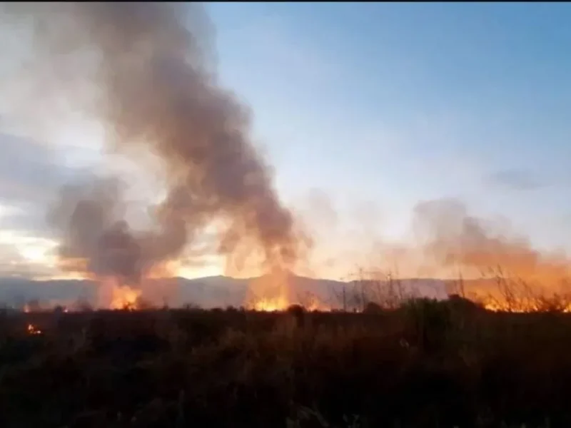 El fuego no da tregua en Salta: un incendio forestal causó una muerte