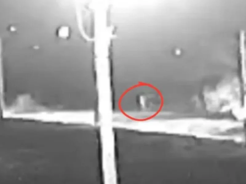 Un video reaviva la alarma por los incendios y apunta a que habrían sido provocados