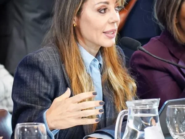 Flavia Royon impulsó en el Senado un proyecto para regular el mercado de carbono en Argentina