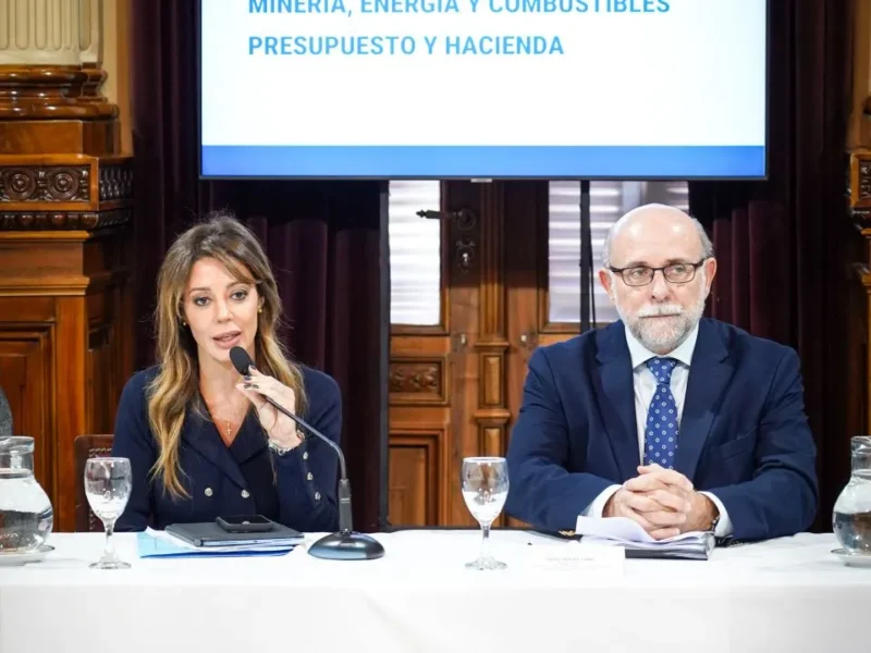 Flavia Royon asumió al frente de la Comisión de Minería, Energía y Combustibles del Senado