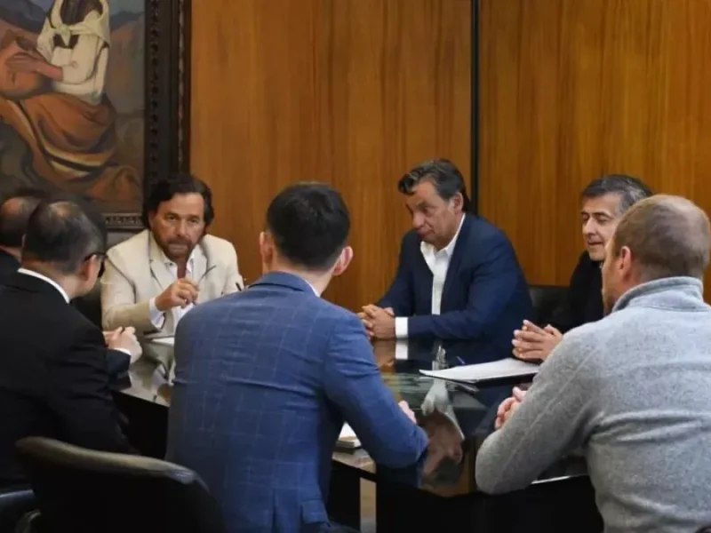 Gustavo Sáenz recibió a Ganfeng Lithium y proyectan llevar la producción a 200 mil toneladas anuales