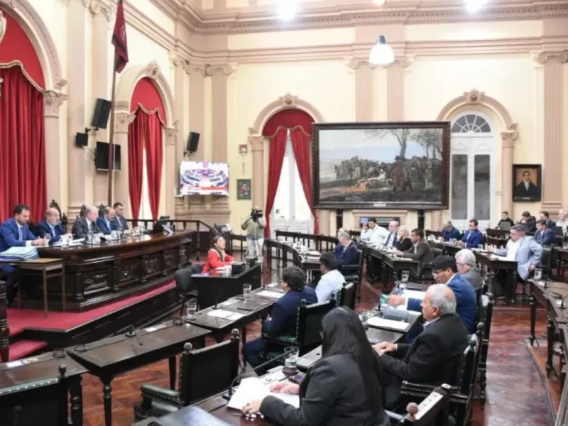 Violencia de Género en Salta: el Senado aprobó extender la Emergencia por otros dos años