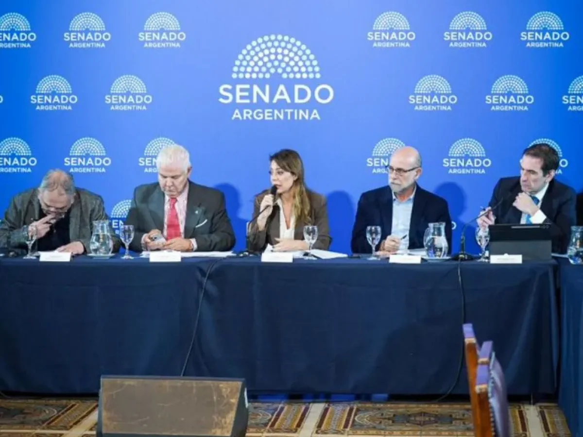 Flavia Royón logró un dictamen clave para cambiar la ley de biocombustibles en Argentina