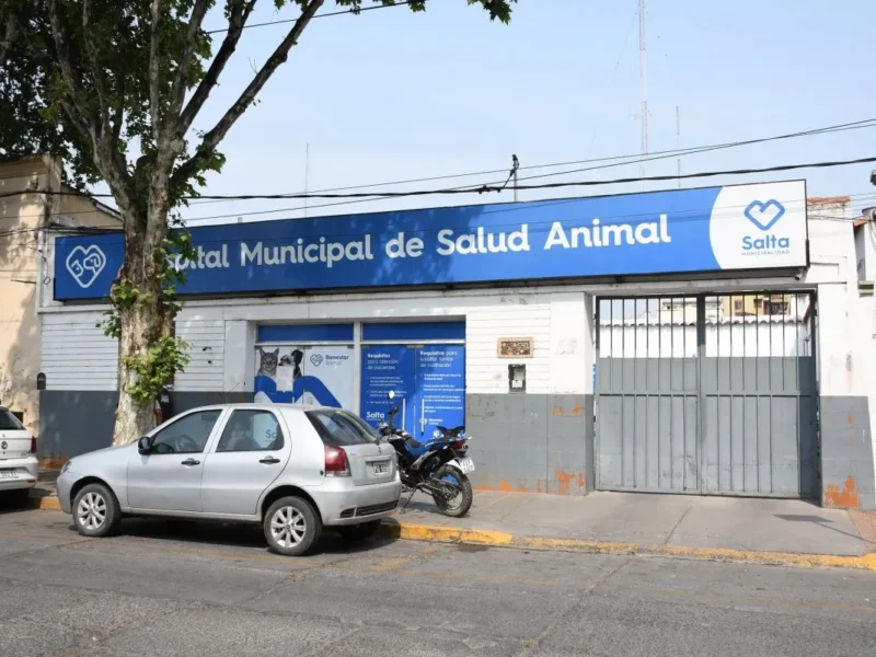 El nuevo Hospital Municipal de Salud Animal ya alcanza un 40% de avance: cuándo estaría terminado
