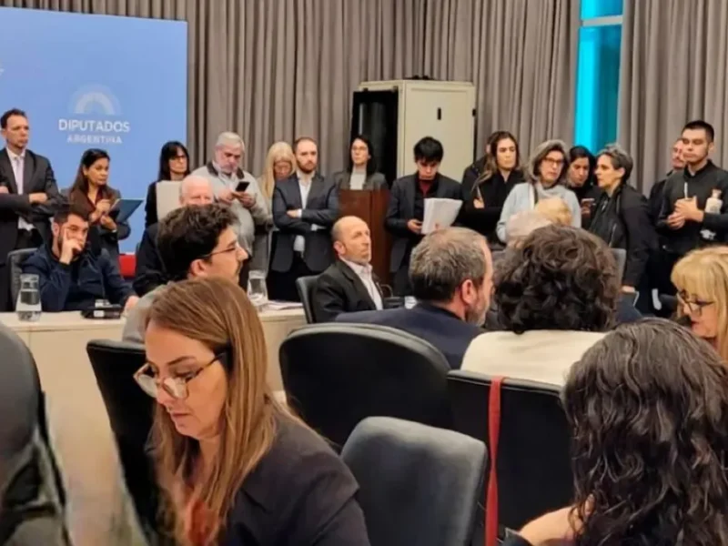 Pensiones por discapacidad: Salta reclama datos sobre los trámites demorados y Soria cuestionó a diputados de LLA