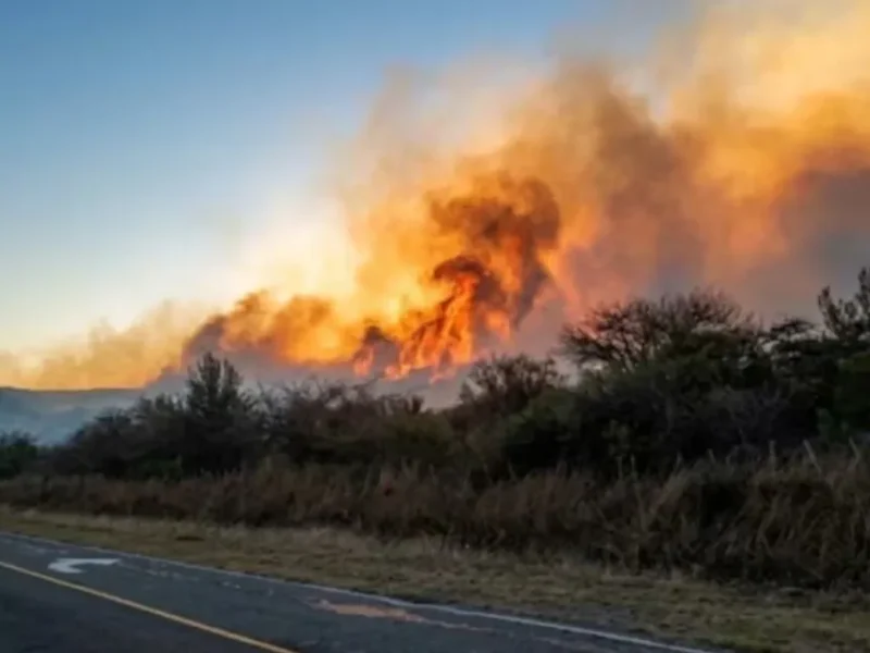 |URGENTE| Feroz incendio cerca de avenida Circunvalación: piden circular con extrema precaución