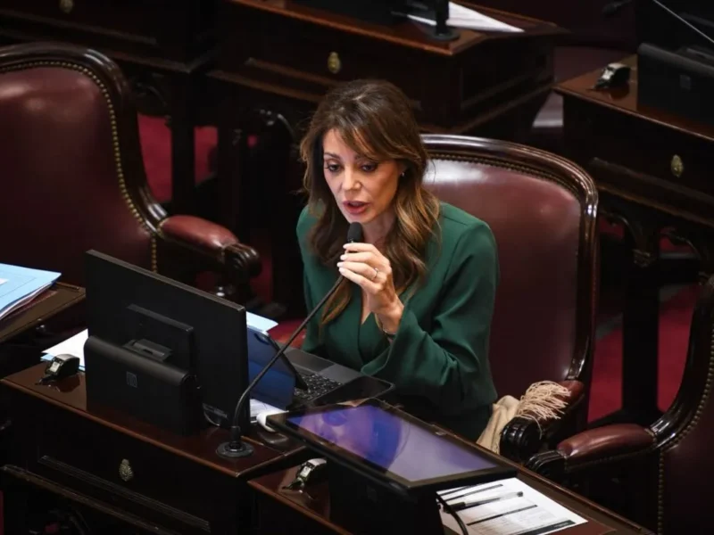 Flavia Royón explicó los cambios en Zonas Frías: quiénes conservarán el subsidio al gas