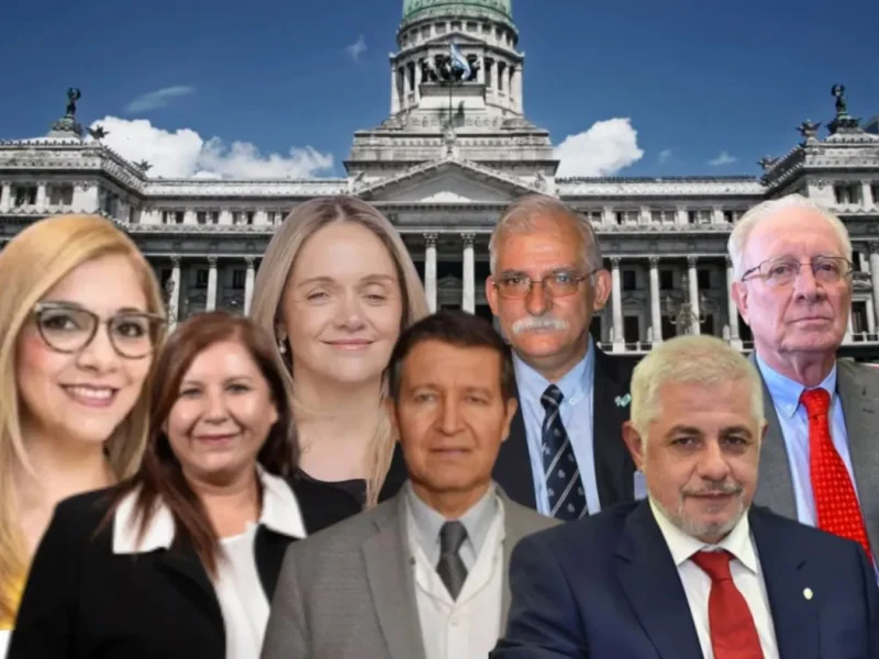 Cuánto patrimonio declararon los diputados salteños: quién encabeza la lista y quién informó saldo negativo
