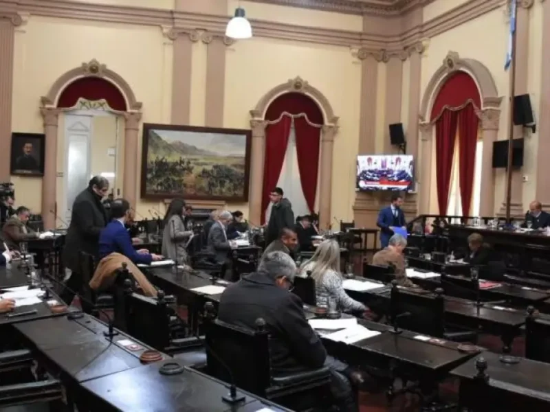 Presupuesto 2027: el pedido que Diputados de Salta llevó a Nación por las políticas de discapacidad
