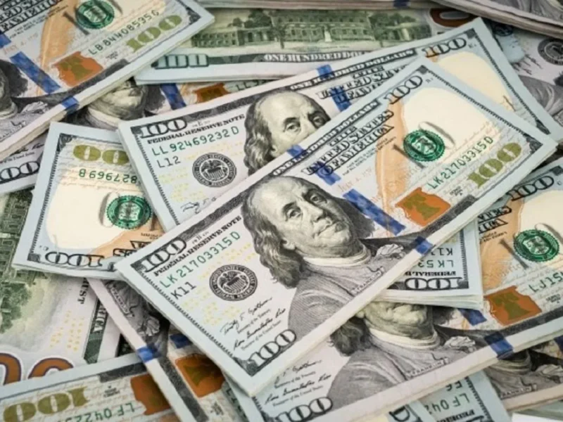 Dólar hoy: a cuánto cerró el oficial y los diferentes tipos de cambio este miércoles 14 de octubre