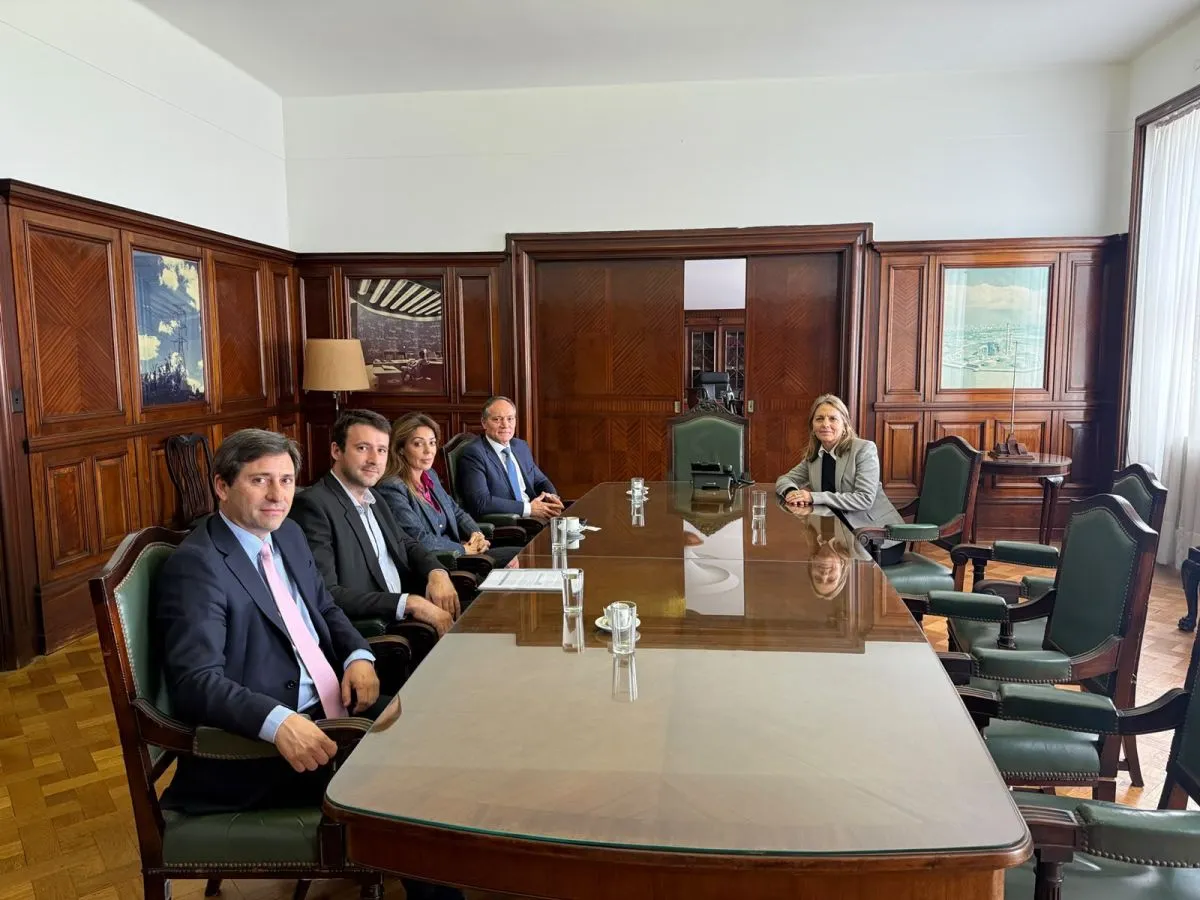 Senadores destacaron avances en los reclamos por los costos eléctricos de las industrias y pidieron medidas para fortalecer la producción