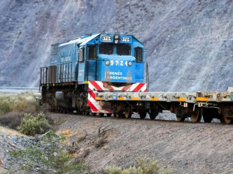 El Gobierno analiza extender la licitación del Belgrano Cargas tras la salida de Grupo México