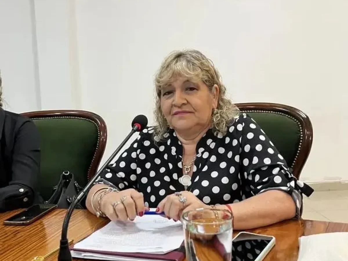 Escándalo en el Concejo Deliberante de Orán: su presidenta denunció a una concejal por una presunta agresión