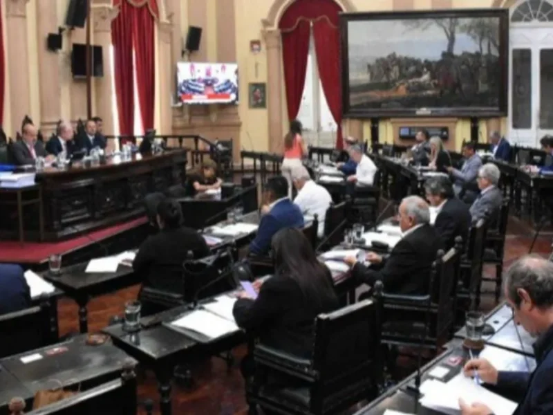 El Senado aprobó la reforma de la Carta Municipal y el proyecto pasa a Diputados