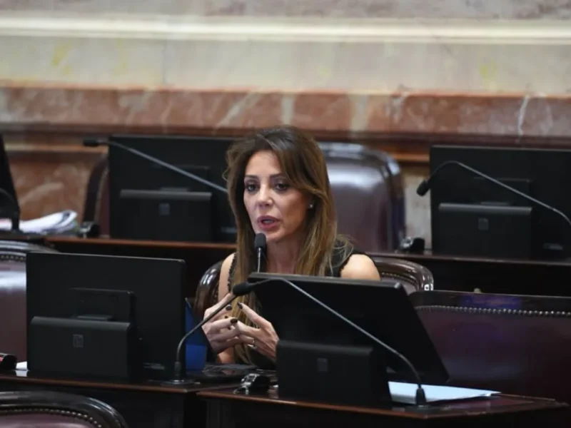 Flavia Royón logró un amplio respaldo en el Senado: el proyecto que podría generar millones para Argentina